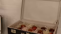 Hier war ein Garten- und Landwirtschaftsarchitekt am Werk und hat als Symbol für den Kreislauf der Natur frische Äpfel eingepackt.