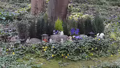 Im Schatten eines Baumes die letzte Ruhe zu finden - diese Vorstellung gefällt vielen Menschen. / © Beatrice Tomasetti (DR)