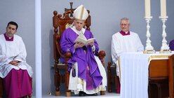 Papst Franziskus feiert eine Messe in Floriana (Malta) / © Paul Haring (KNA)