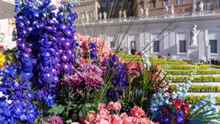 Blumen auf dem Petersplatz / &copy; Stefano Dal Pozzolo/Romano Siciliani (KNA)