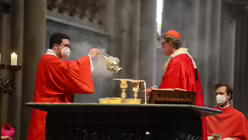 Rainer Maria Kardinal Woelki im Pontifikalamt an Palmsonntag / © Beatrice Tomasetti (DR)