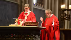 Rainer Maria Kardinal Woelki und Weihbischof Rolf Steinhäuser im Pontifikalamt am Palmsonntag / © Beatrice Tomasetti (DR)