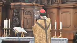  © Beatrice Tomasetti (DR)