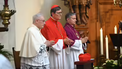 Sankt Maria in der Kupfergasse feiert Jubil&auml;um / &copy; Beatrice Tomasetti (DR)