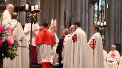  &copy; Beatrice Tomasetti (DR)