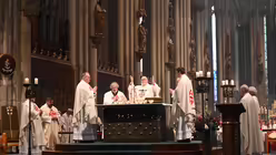  &copy; Beatrice Tomasetti (DR)