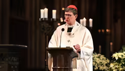  © Beatrice Tomasetti (DR)