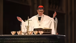  © Beatrice Tomasetti (DR)