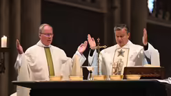 Rosenkranzandacht und Festmesse des Deutschen Lourdes Vereins / © Beatrice Tomasetti (DR)