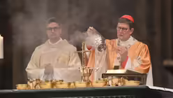  © Beatrice Tomasetti  (DR)