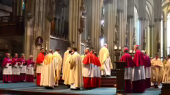  © Beatrice Tomasetti (DR)