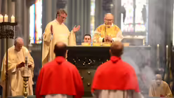  © Beatrice Tomasetti (DR)