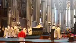  © Beatrice Tomasetti (DR)