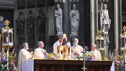  &copy; Beatrice Tomasetti (DR)