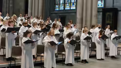  &copy; Beatrice Tomasetti (DR)