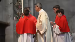 Pontifikalamt mit Kardinal Woelki am zwölften Sonntag im Jahreskreis und zugleich Abschluss des Glaubensfests "kommt und seht" / © Beatrice Tomasetti (DR)