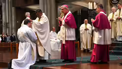  © Beatrice Tomasetti (DR)