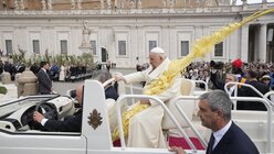 Palmsonntag im Vatikan (dpa)