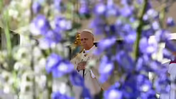Viele Blumen bei der Ostermesse mit Papst Leo XIV. am 5. April 2026 im Vatikan. / &copy; Vatican Media/Romano Siciliani (KNA)