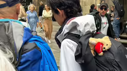 Glücksbringer am Rucksack einer Pilgerin (DR)