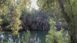 Taufstele Yardenit am Jordan / © Sonja Geus (DR)