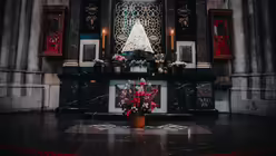 Pontifikalamt mit Kardinal Woelki an Palmsonntag im K&ouml;lner Dom / &copy; Nicolas Ottersbach (DR)