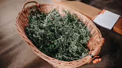 Pontifikalamt mit Kardinal Woelki an Palmsonntag im K&ouml;lner Dom / &copy; Nicolas Ottersbach (DR)