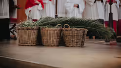 Pontifikalamt mit Kardinal Woelki an Palmsonntag im K&ouml;lner Dom / &copy; Nicolas Ottersbach (DR)