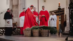 Pontifikalamt mit Kardinal Woelki an Palmsonntag im K&ouml;lner Dom / &copy; Nicolas Ottersbach (DR)