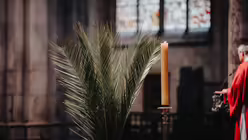 Pontifikalamt mit Kardinal Woelki an Palmsonntag im K&ouml;lner Dom / &copy; Nicolas Ottersbach (DR)