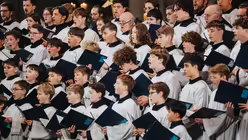  &copy; Nicolas Ottersbach (DR)