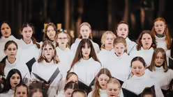  &copy; Nicolas Ottersbach (DR)