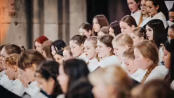  &copy; Nicolas Ottersbach (DR)