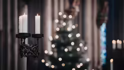 Pontifikalamt am ersten Weihnachtstag 2025 mit Kardinal Woelki. / &copy; Nicolas Ottersbach (DR)