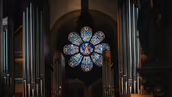 Eindr&uuml;cke vom Sonntag des Liborifestes 2025 in Paderborn / &copy; Nicolas Ottersbach (DR)