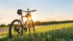 Symbolbild Ein Fahrrad auf einem Feld / &copy; Victor Prilepa (shutterstock)