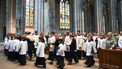  © Beatrice Tomasetti (DR)