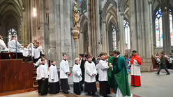  &copy; Beatrice Tomasetti (DR)