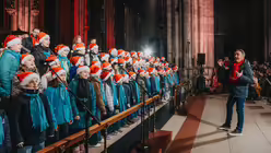  © Nicolas Ottersbach (DR)