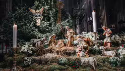  &copy; Nicolas Ottersbach (DR)