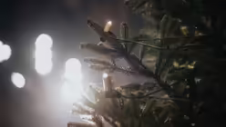  &copy; Nicolas Ottersbach (DR)