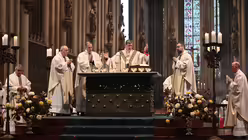  © Beatrice Tomasetti (DR)