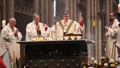  © Beatrice Tomasetti (DR)