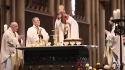  © Beatrice Tomasetti (DR)