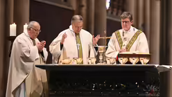  © Beatrice Tomasetti (DR)