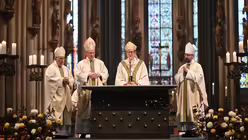  © Beatrice Tomasetti (DR)