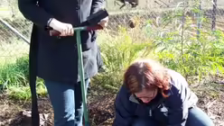 "Säphlins" nennt Claire die Setzlinge (DR)