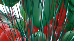 Karneval 2010 42 (DR)