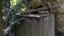 Melaten - K&ouml;lns steinernes Geschichtsbuch 9 / &copy; Robert Boecker (DR)