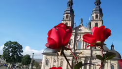 Eindr&uuml;cke von der Bischofskonferenz in Fulda 21 (DR)